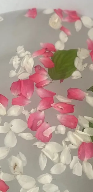 Wasser in einer weißen Emailleschüssel mit weißen und rosa Blüten darin und ein wenig Blattgrün